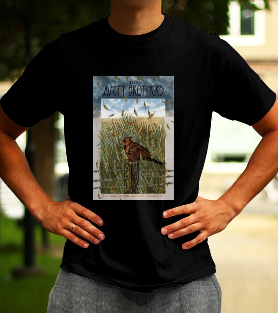 The Avett Brothers Westville Music Bowl New Haven CT Sep 17 2026 Cardinal In Field T-Shirt