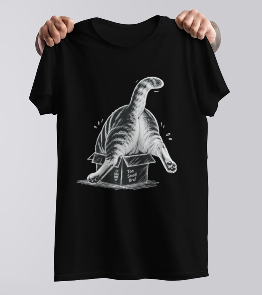 Too Small Bro Tabby Cat Stuck In Box Rear View T-Shirt