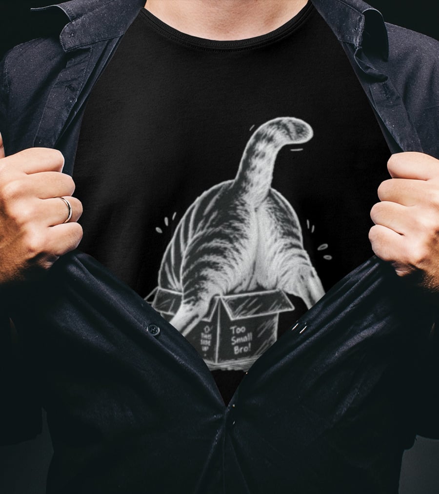 Too Small Bro Tabby Cat Stuck In Box Rear View T-Shirt