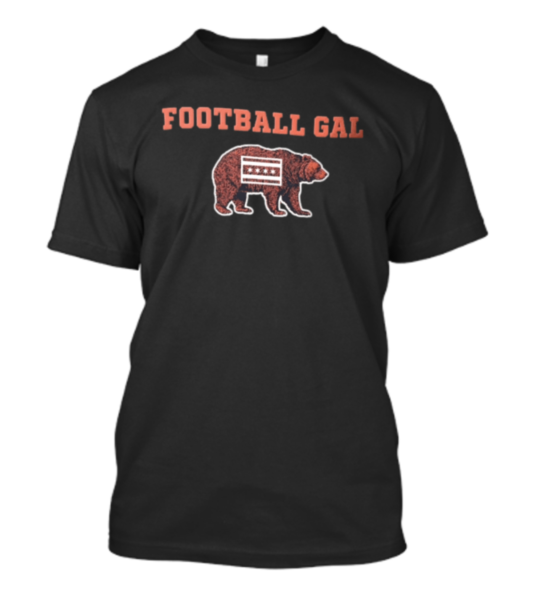 Chicago Bears Football Gal Brown Bear With Chicago Flag T-Shirt