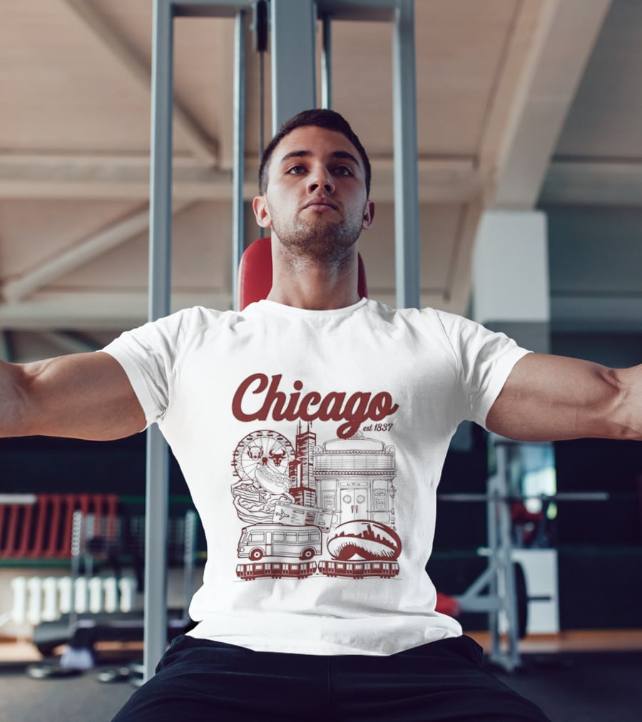 Chicago City Landmarks Illinois Est 1837 Ferris Wheel Hot Dog Retro Bus T-Shirt