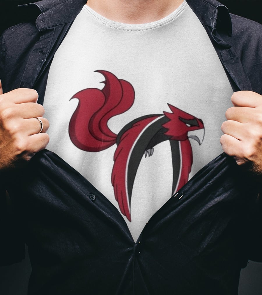 Atlanta Falcons Pokemon Mashup Bird T-Shirt