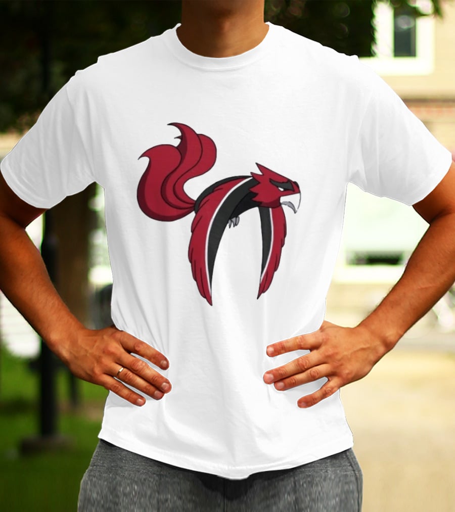 Atlanta Falcons Pokemon Mashup Bird T-Shirt