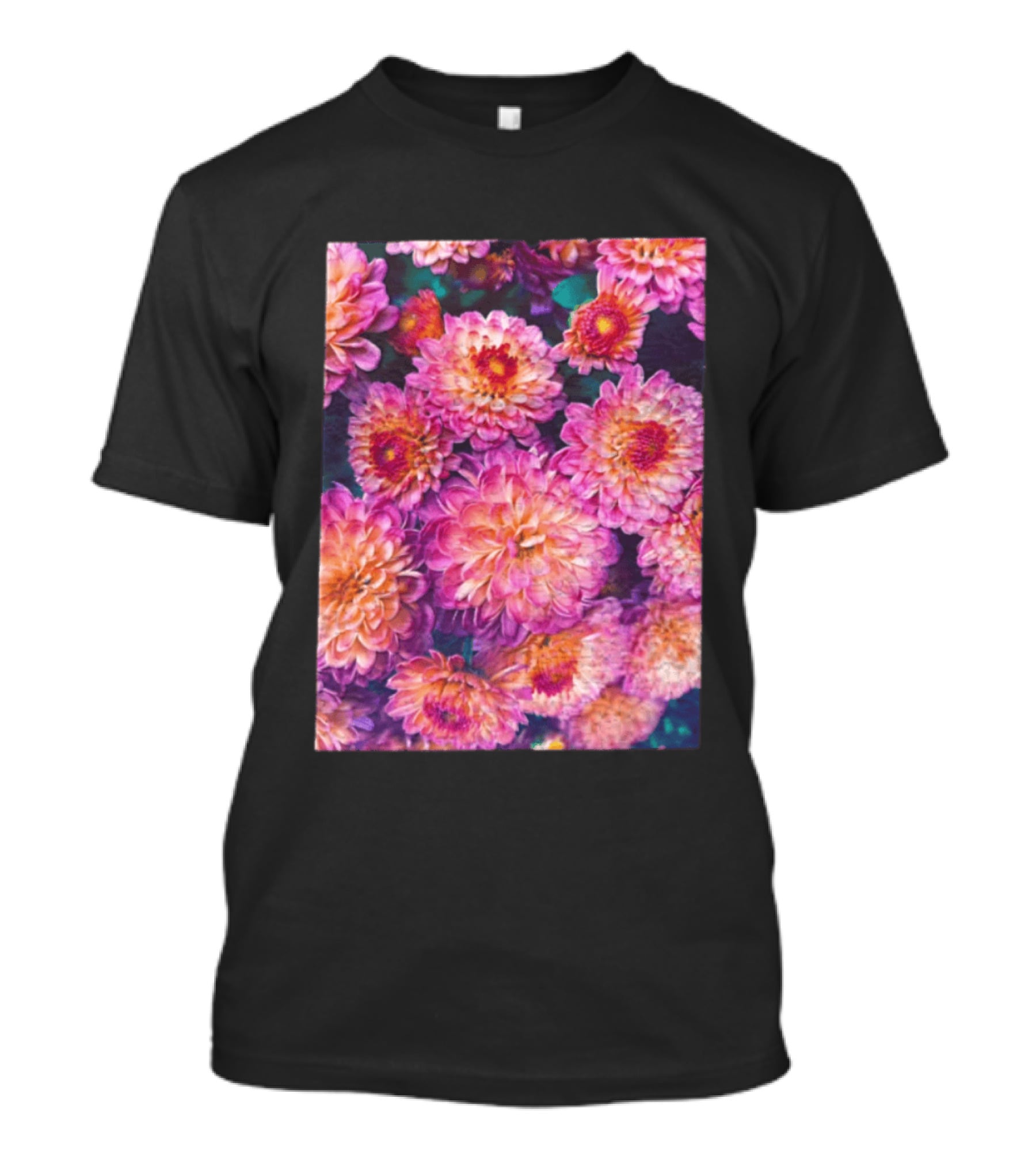 Many Pink And Orange Chrysanthemum Flowers In Full Bloom T-Shirt
