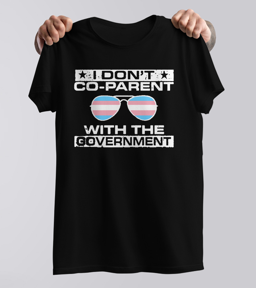 I Don't Co-Parent With The Government Sunglasses Trans Pride Flag T-Shirt