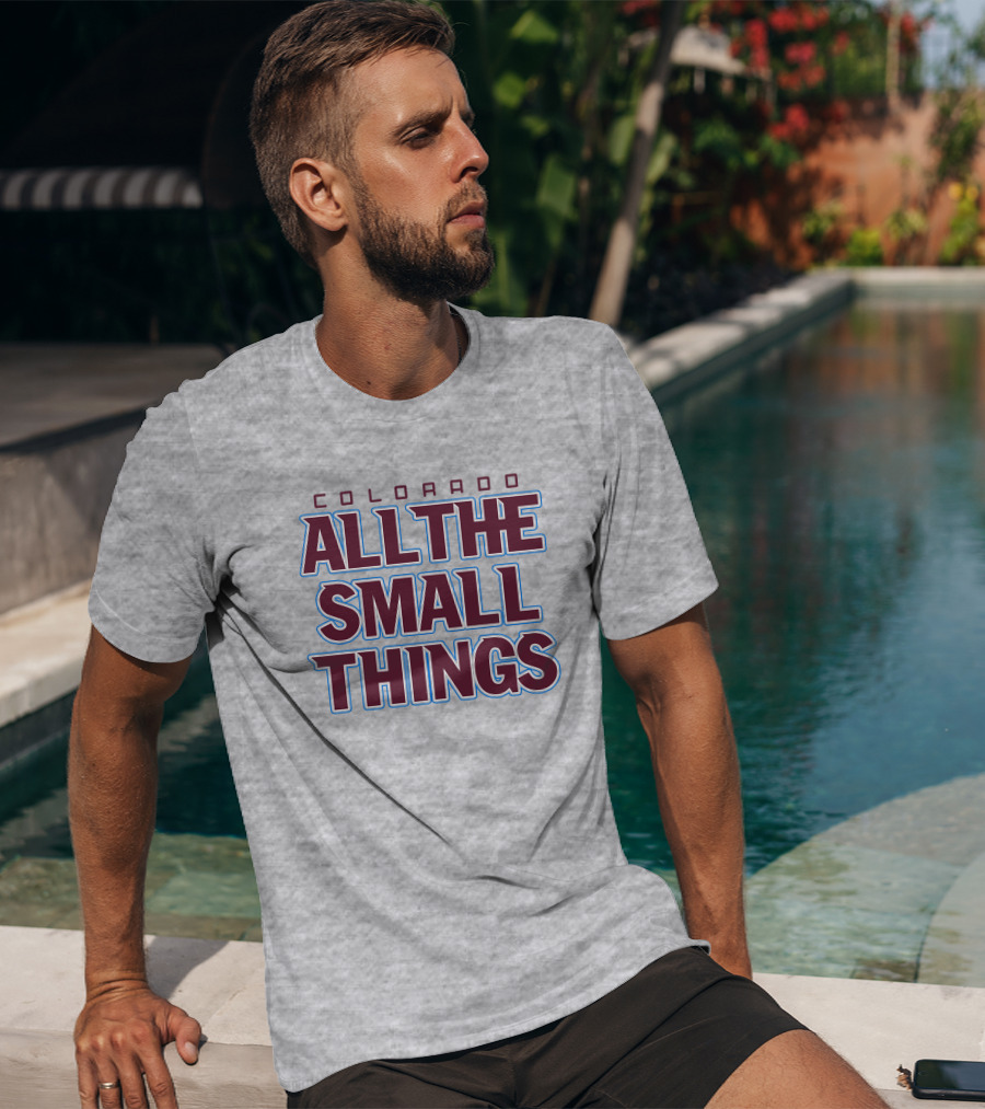 Colorado All The Small Things T-Shirt
