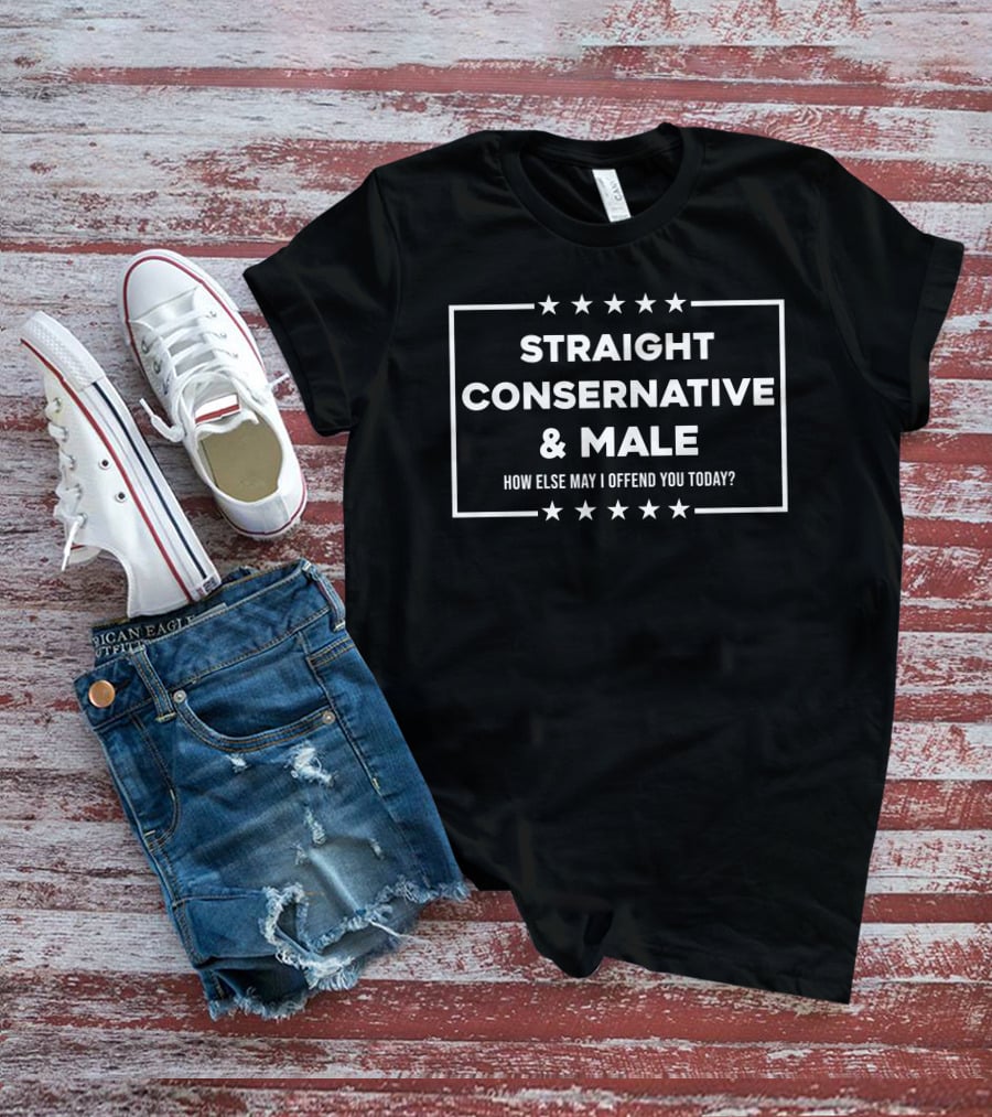 STRAIGHT CONSERVATIVE And MALE HOW ELSE MAY I OFFEND YOU TODAY? T-Shirt