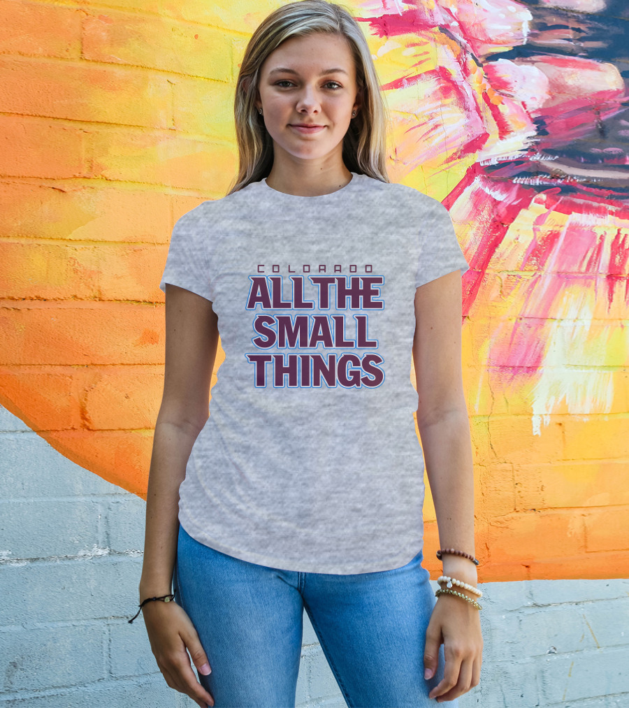 Colorado Hockey All The Small Things Retro T-Shirt