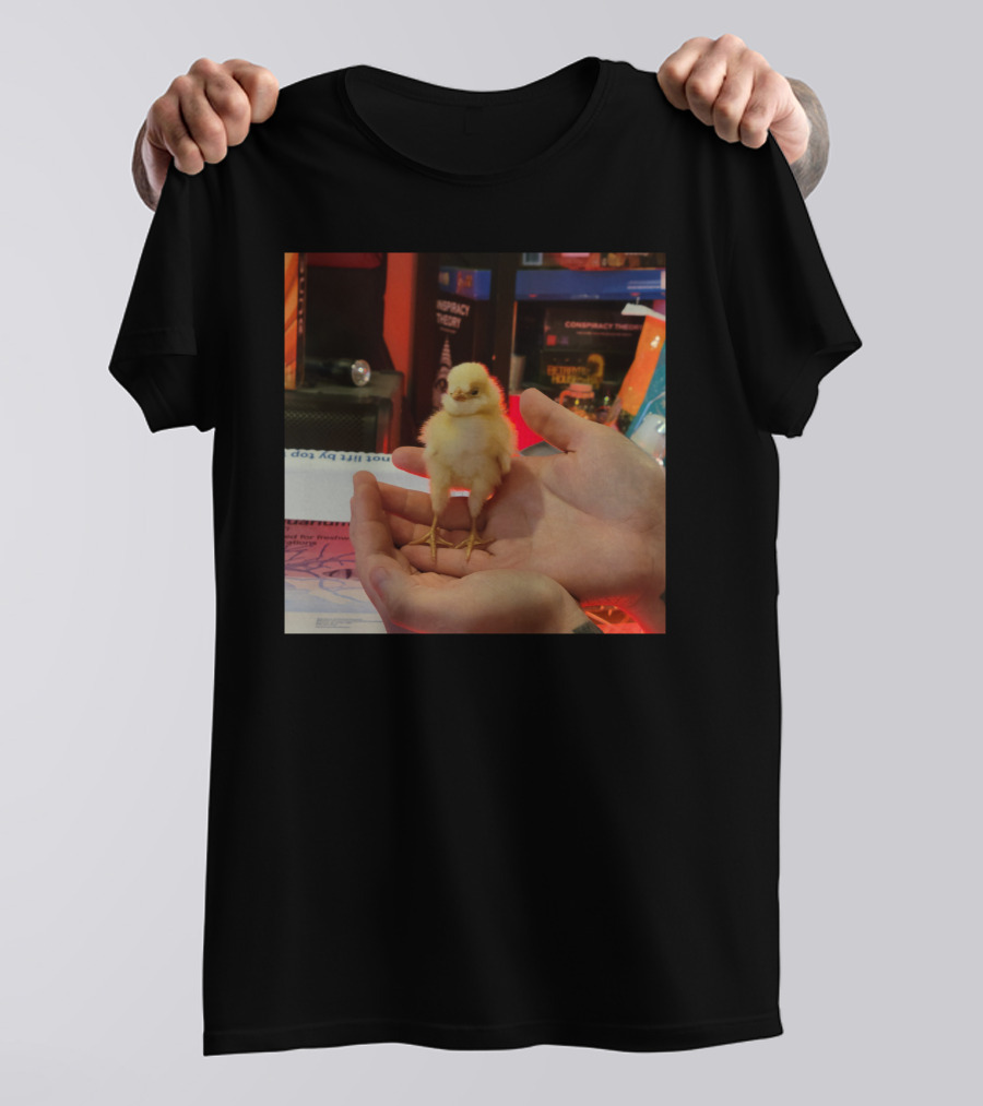 Lukewearechange Tallboi Conspiracy Theory Chick T-Shirt