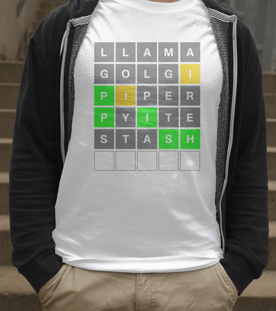 David Steinberg Phish Wordle Llama Golgi Piper Stash T-Shirt