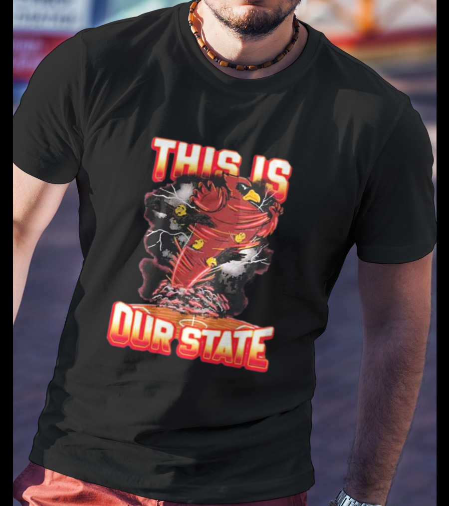 THIS IS OUR STATE Arizona Cardinals Official NFL Team Gear T-Shirt