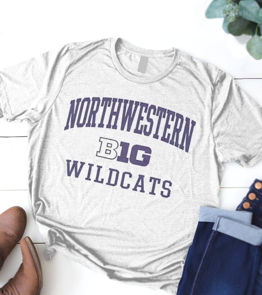Northwestern Wildcats Big Ten T-Shirt
