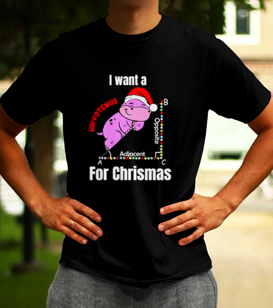 I Want A Hippotenuse ABC Adjacent Opposite For Christmas Cute Hippo T-Shirt