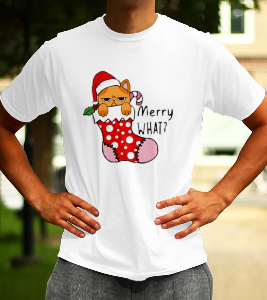 Merry What Cat In Santa Hat Christmas Stocking T-Shirt