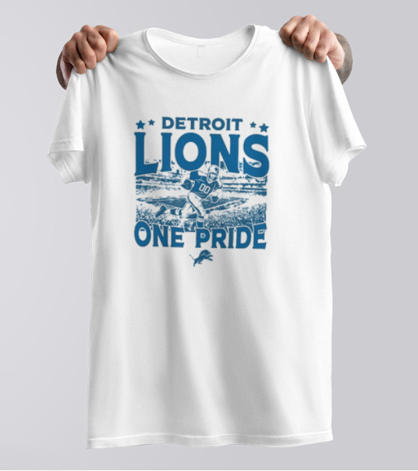 Detroit Lions One Pride Vintage Stadium Gameday T-Shirt