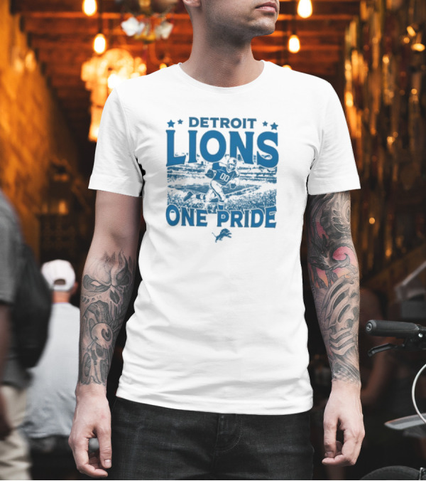 Detroit Lions One Pride Vintage Stadium Gameday T-Shirt