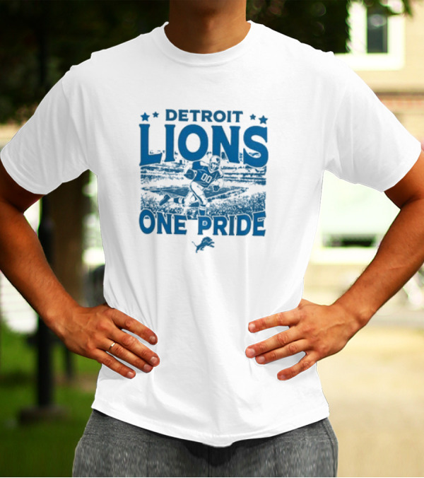 Detroit Lions One Pride Vintage Stadium Gameday T-Shirt