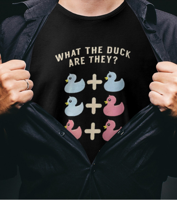 What The Duck Are They Blue And Pink Duck Addition Puzzle T-Shirt