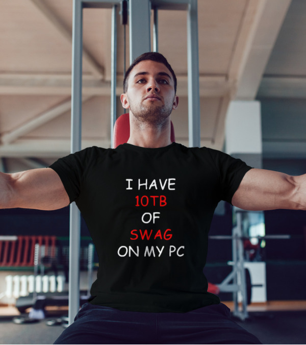 I Have 10TB Of Swag On My PC T-Shirt