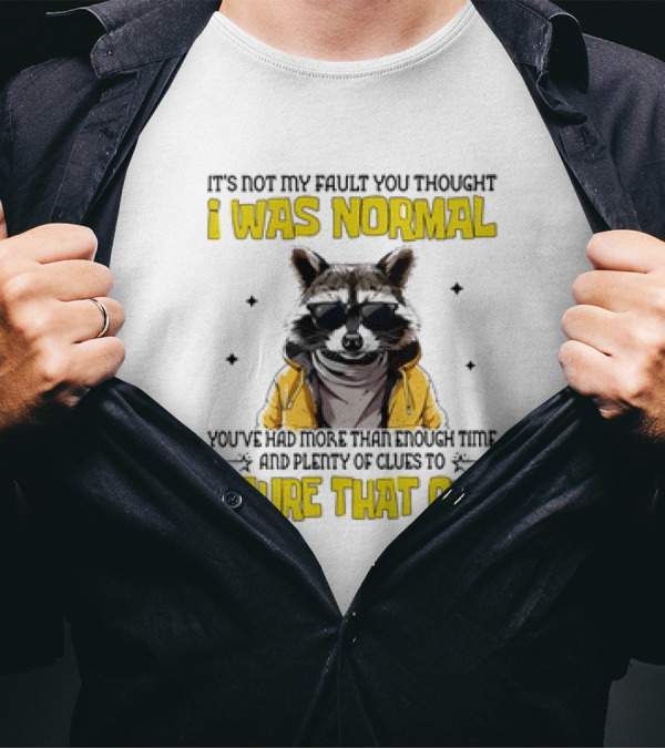 Raccoon It's Not My Fault You Thought I Was Normal You've Had More Than Enough Time And Plenty Of Clues To Figure That Out T-Shirt