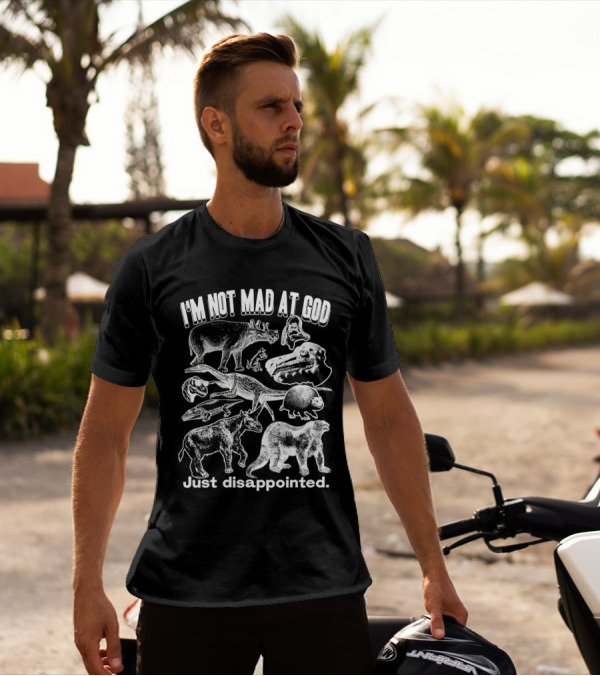 I’m Not Mad At God Just Disappointed Dinosaur And Animal Sketches T-Shirt