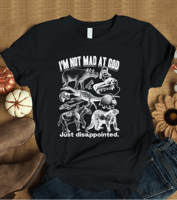 I’m Not Mad At God Just Disappointed Dinosaur And Animal Sketches T-Shirt