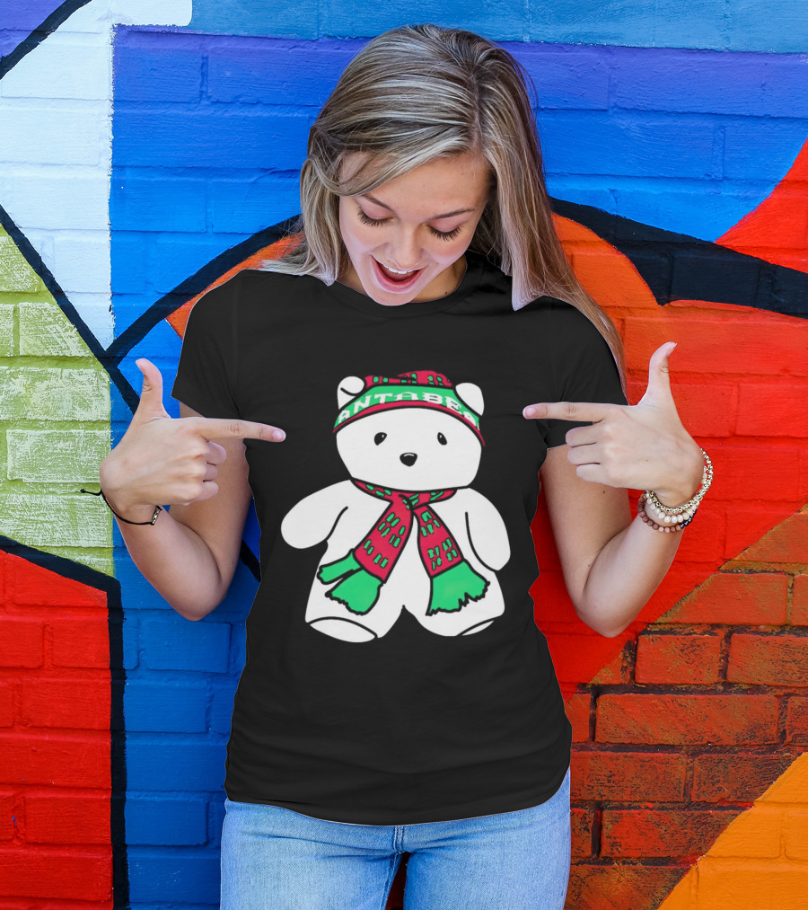 Santa Bear Minnesota Christmas Festive Holiday Teddy T-Shirt