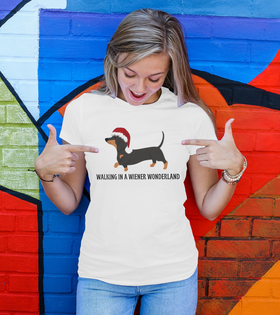 Christmas Walking In A Wiener Wonderland Dachshund With Santa Hat T-Shirt