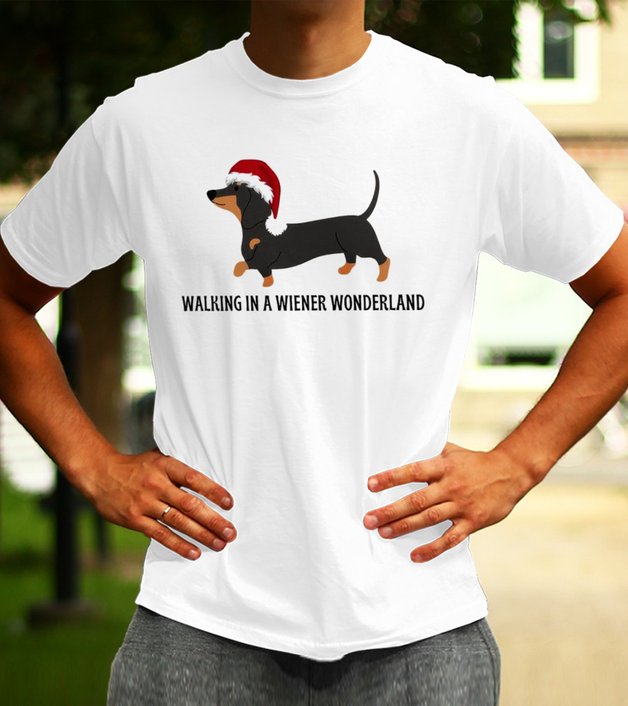 Christmas Walking In A Wiener Wonderland Dachshund With Santa Hat T-Shirt