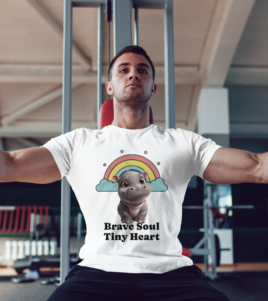Brave Soul Tiny Heart Hippo With Rainbow T-Shirt