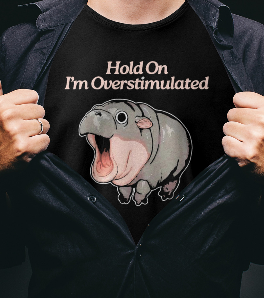 Hold On I'm Overstimulated Hippo T-Shirt
