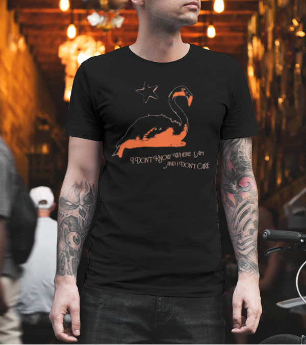 Flamingo I Don’t Know Where I Am And I Don’t Care With Star T-Shirt