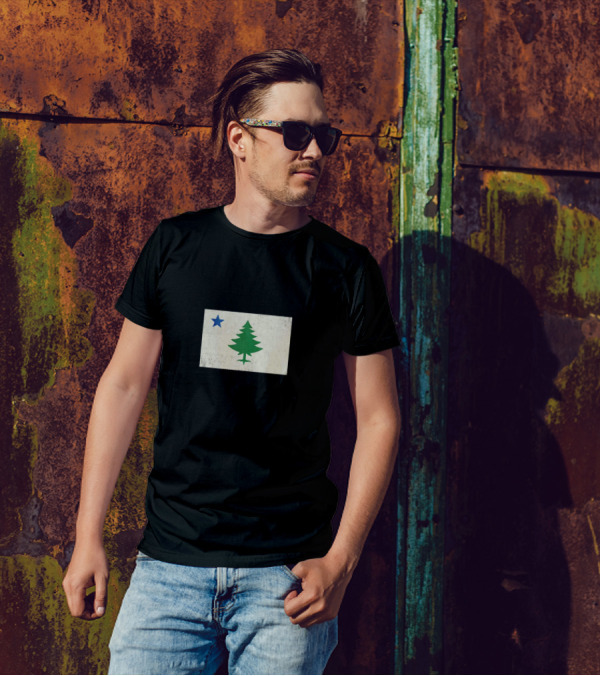 Maine Vintage Flag Pine Tree And Blue Star T-Shirt
