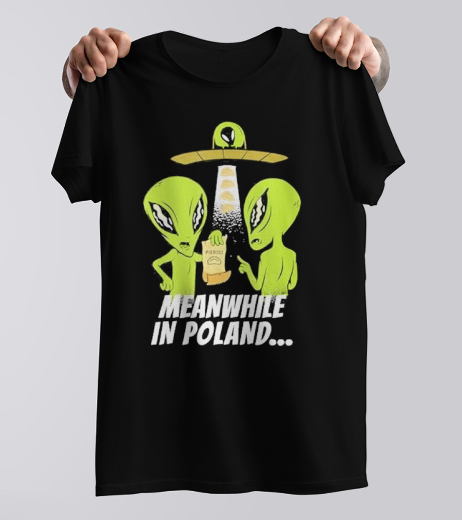 Meanwhile In Poland Alien Abduction Pierogi T-Shirt