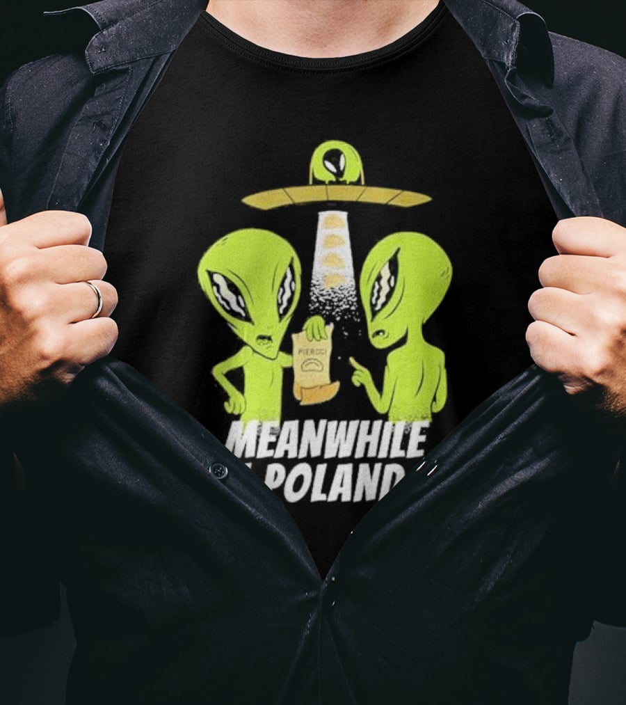 Meanwhile In Poland Alien Abduction Pierogi T-Shirt