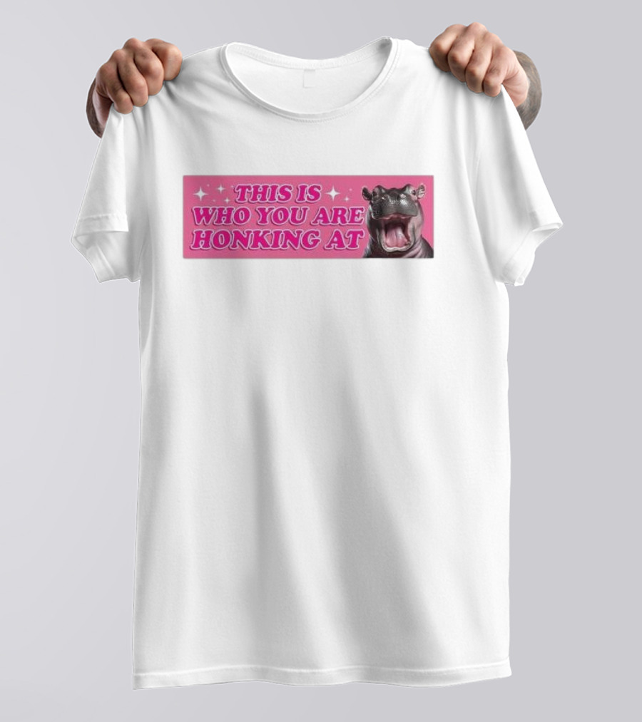 This Is Who You Are Honking At Hippo T-Shirt