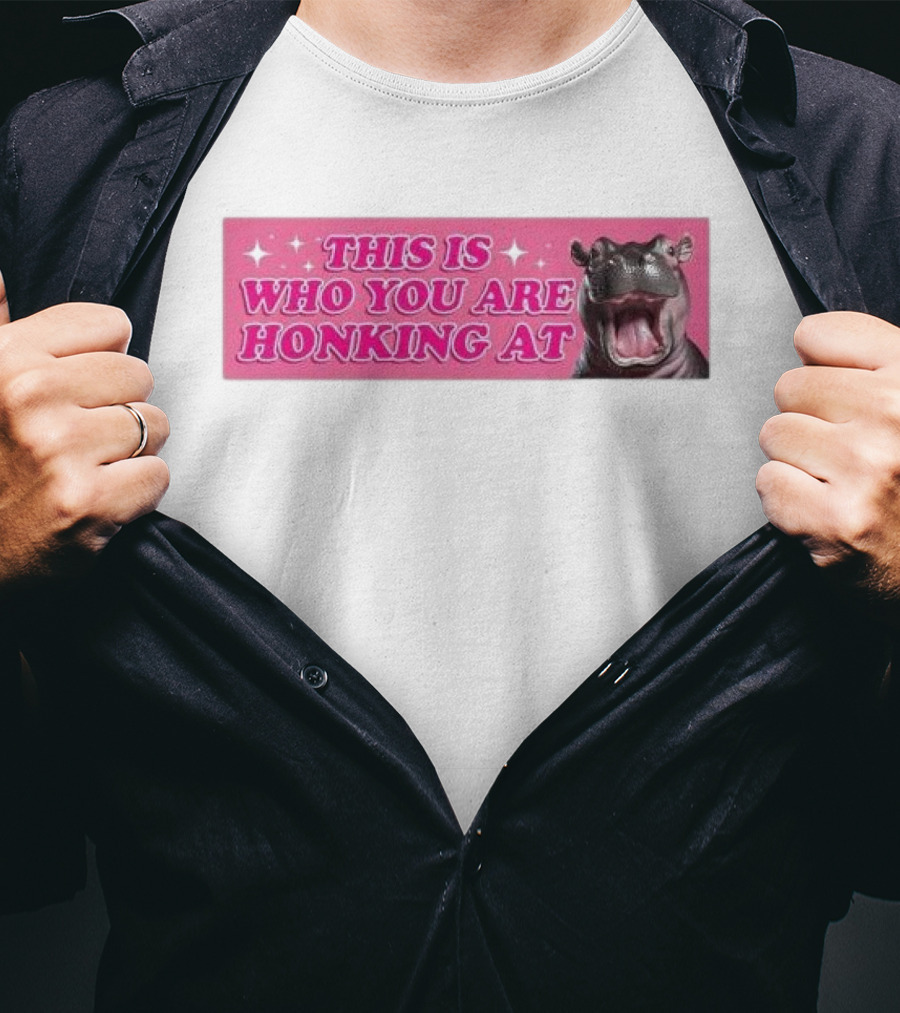 This Is Who You Are Honking At Hippo T-Shirt