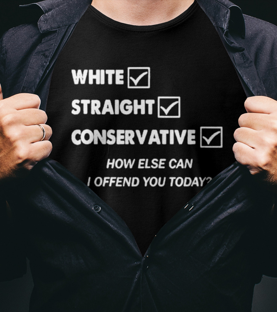 White Straight Conservative How Else Can I Offend You Today T-Shirt