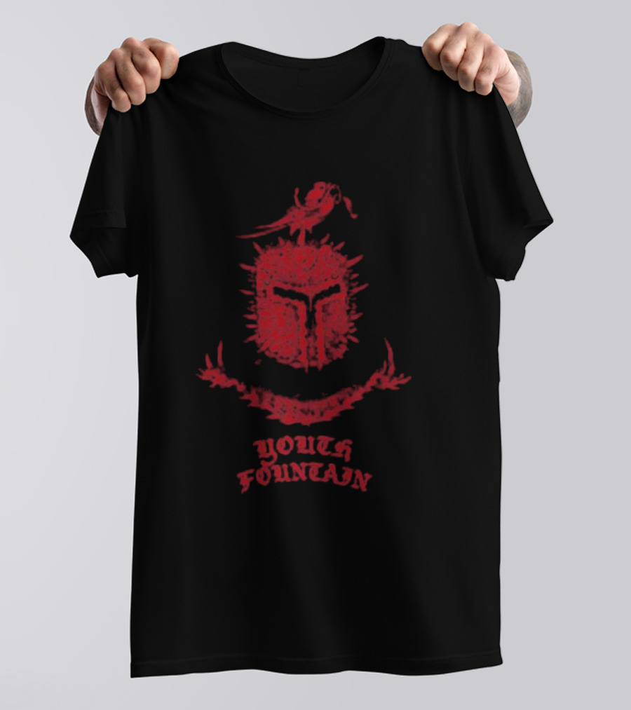 Youth Fountain Medieval Style Helmet With Sword And Bird T-Shirt