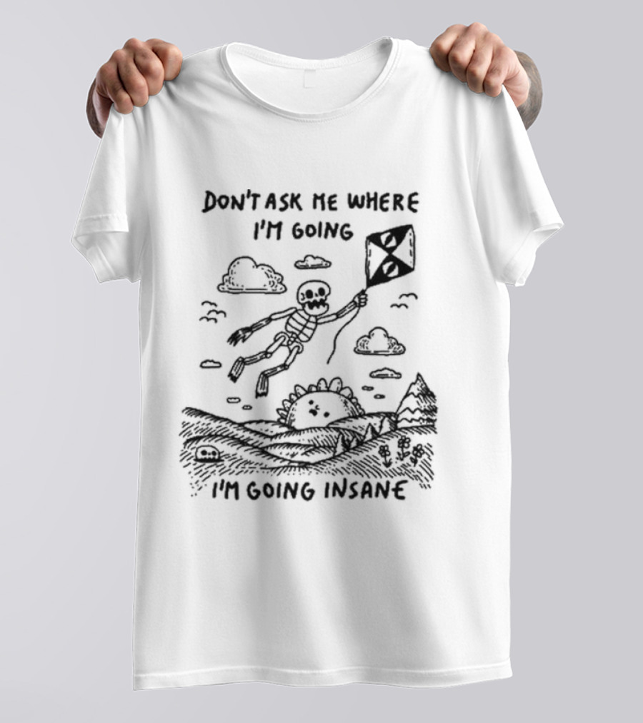 Don’t Ask Me Where I’m Going I’m Going Insane Skeleton Flying With Kite T-Shirt