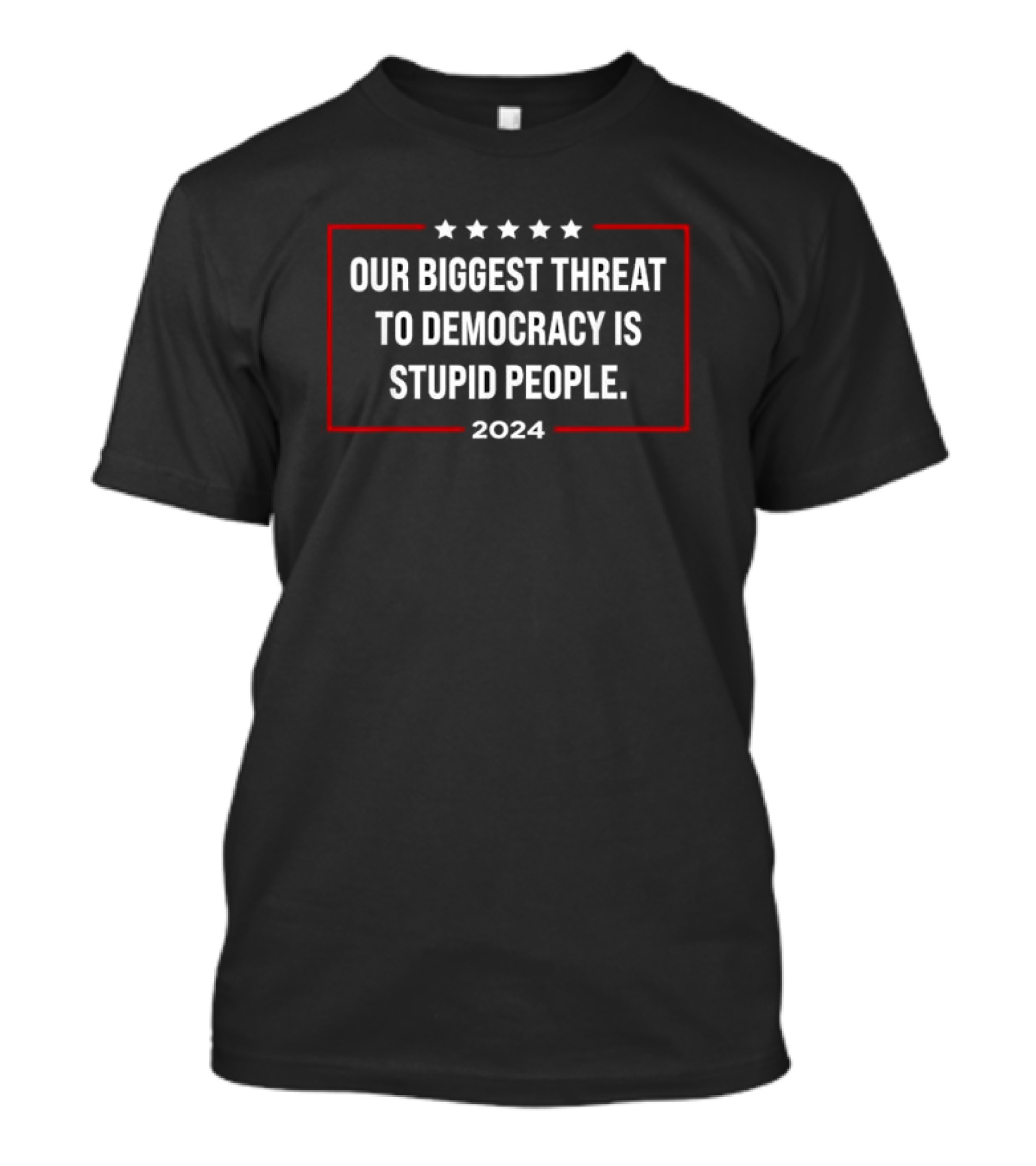 Our Biggest Threat To Democracy Is Stupid People T-Shirt