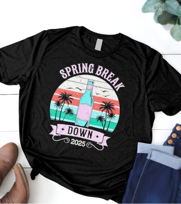Spring Break Down 2025 Bottle Palms Retro Stripes Vintage Vibe T-Shirt
