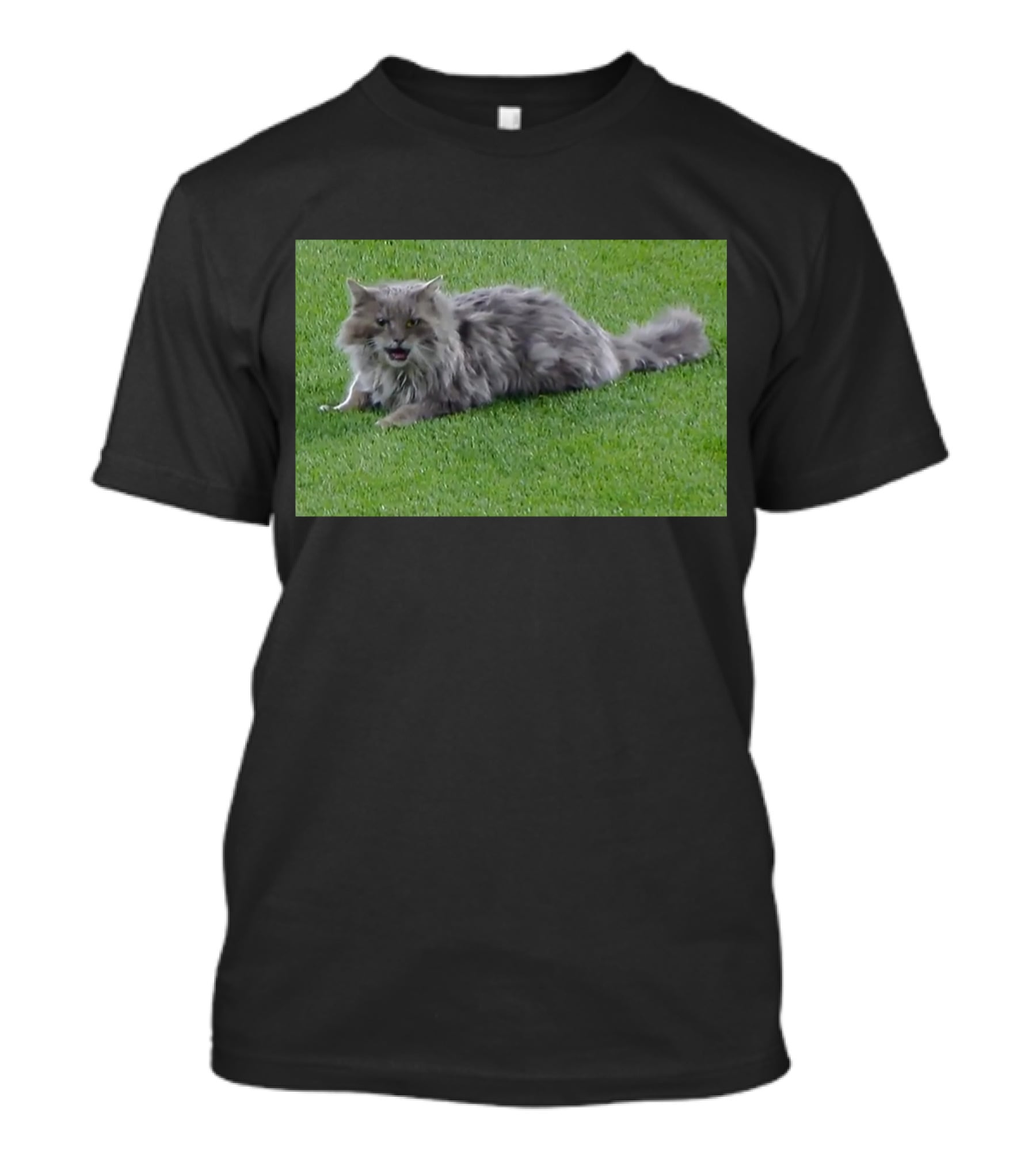 Cat Stops Play At Los Angeles Dodgers Stadium Event T-Shirt