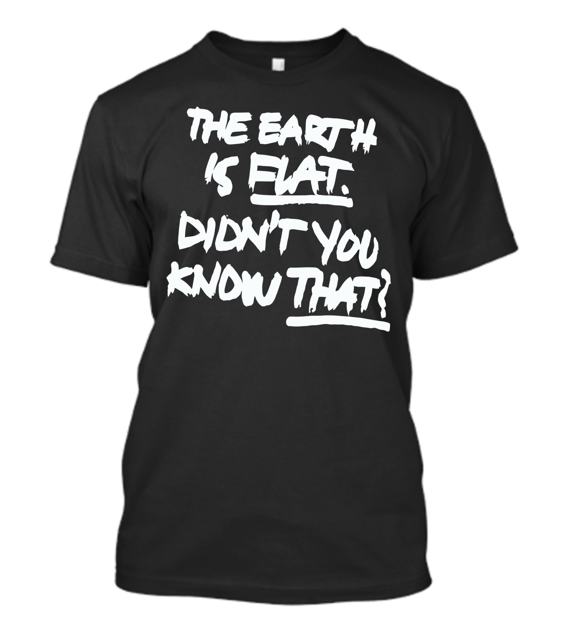 The Earth Is Flat Didn't You Know That T-Shirt
