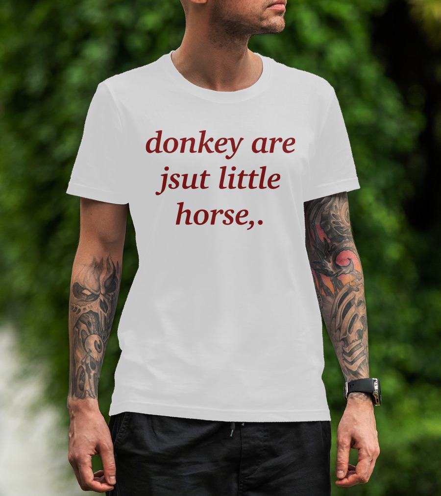 Donkey Are Jsut Little Horse T-Shirt