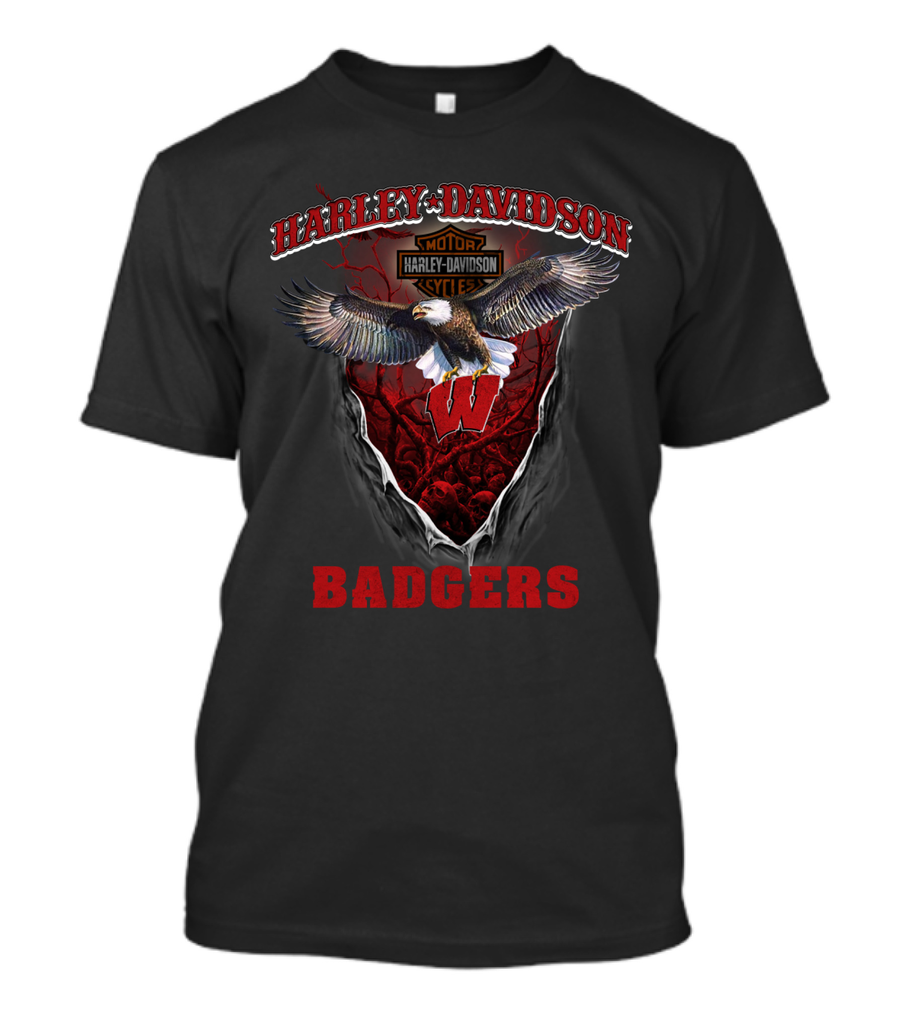 Harley Davidson Motor Cycles Badgers Wisconsin T-Shirt