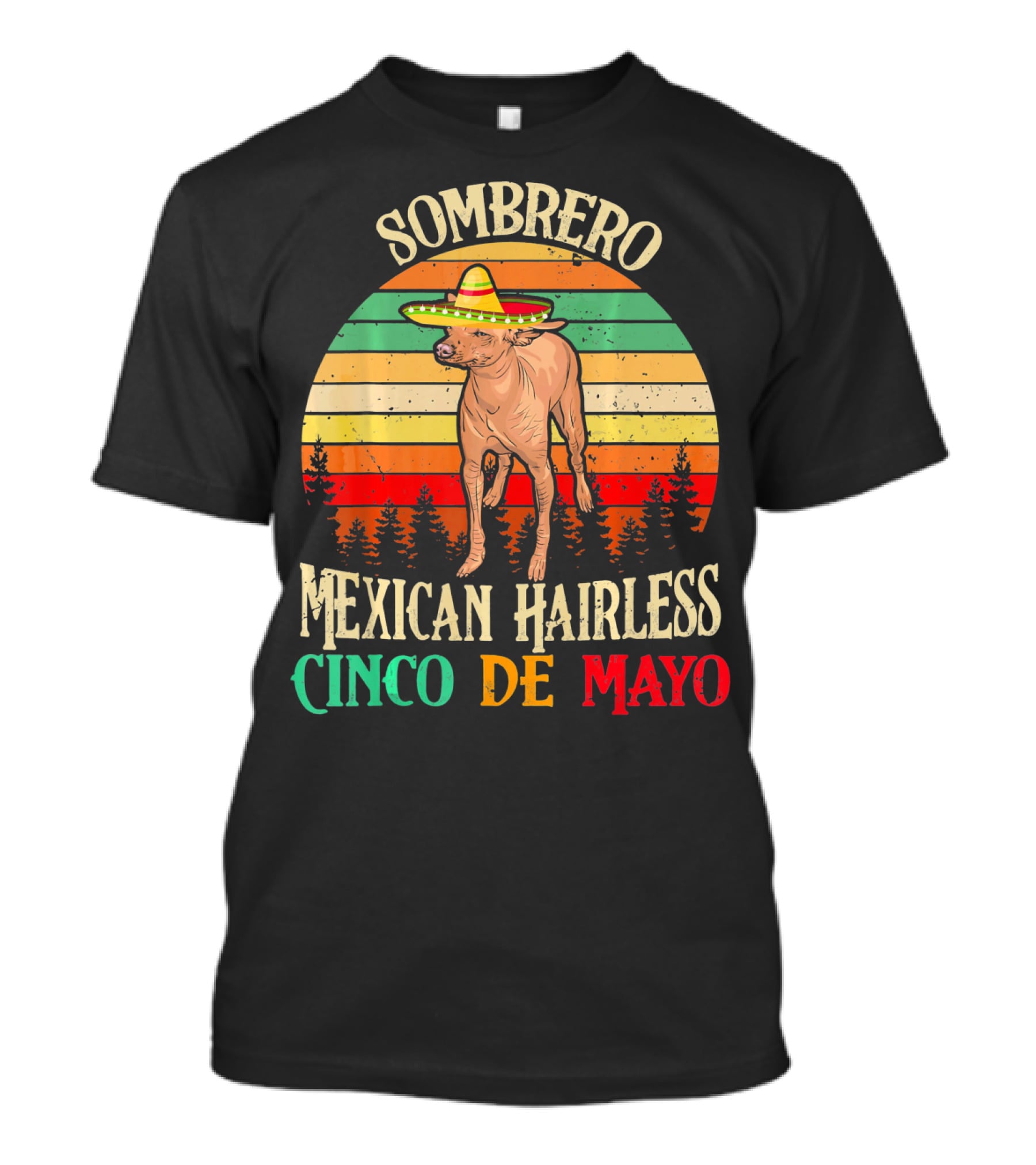 Sombrero Mexican Hairless Cinco De Mayo Vintage Sunset T-Shirt